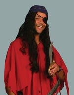 THE LAKESHORE PIRATE